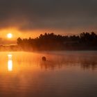 ein wunderschöner Sonnenaufgang 