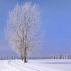 Ein wunderschöner Tag im Schwarzwald