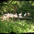 Ein wunderschöner Tag im Tierpark Hellabrunn