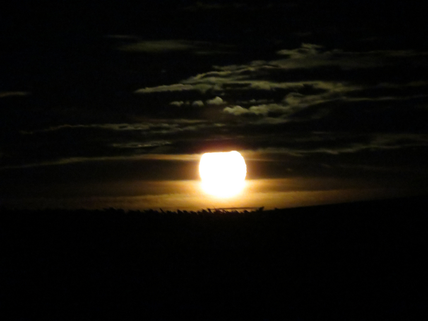 Ein wunderschöner Vollmond