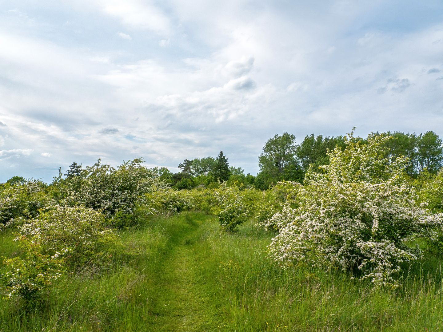 Ein wunderschöner Wanderweg...