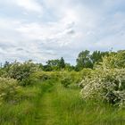 Ein wunderschöner Wanderweg...