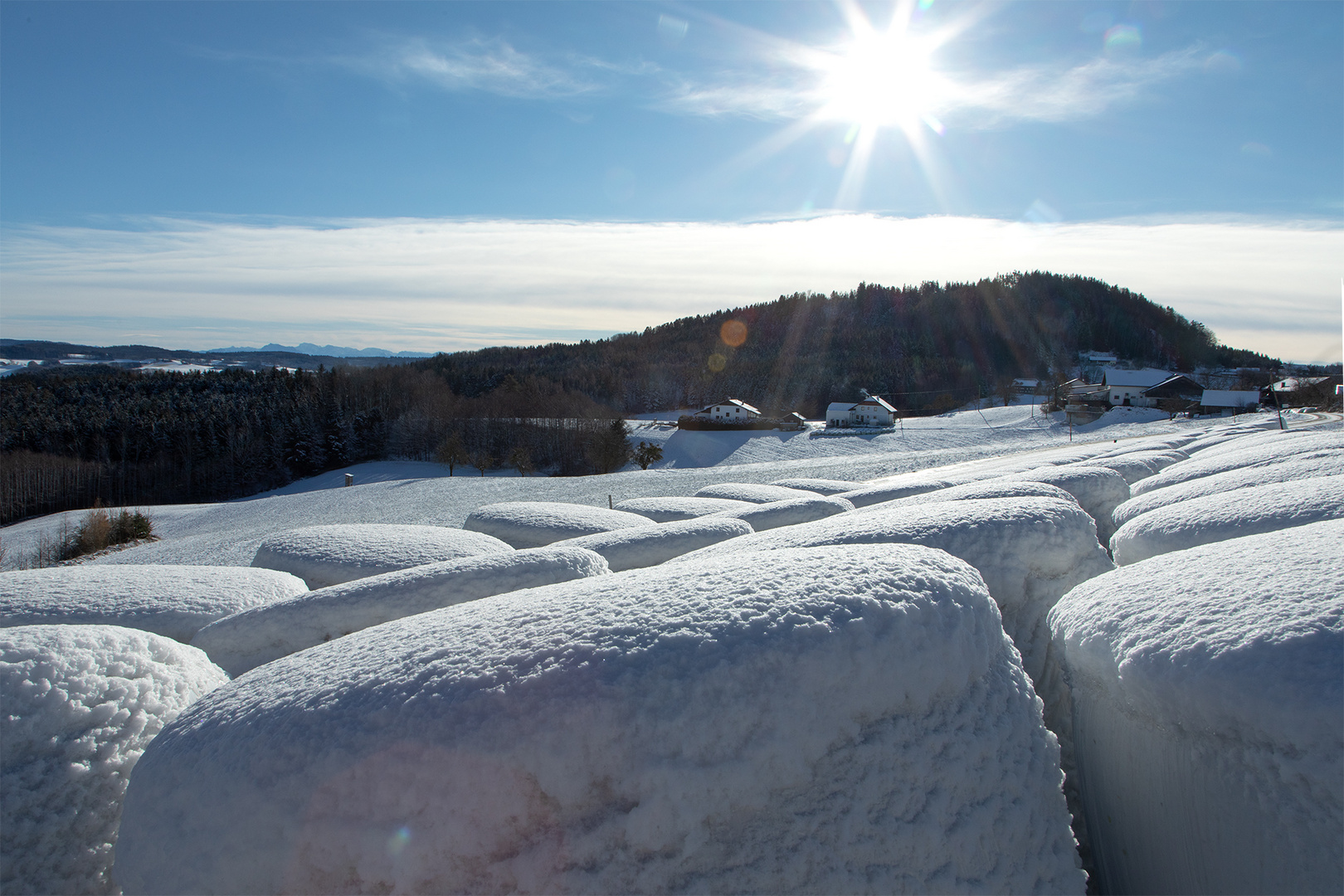 ein wunderschöner Wintertag ... 4