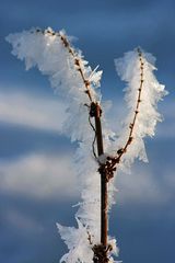 Ein wunderschöner Wintertag