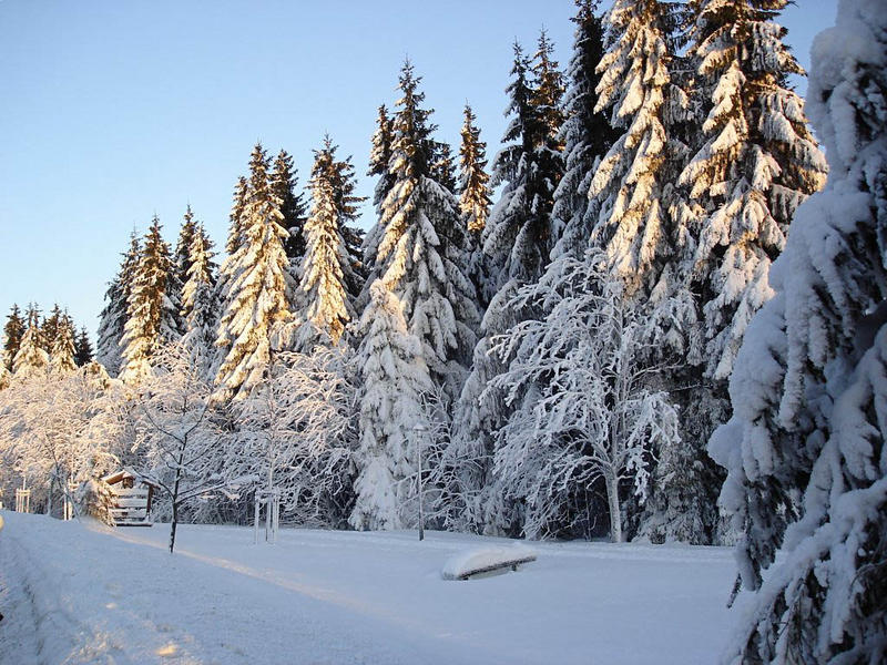 ein wunderschöner wintertag