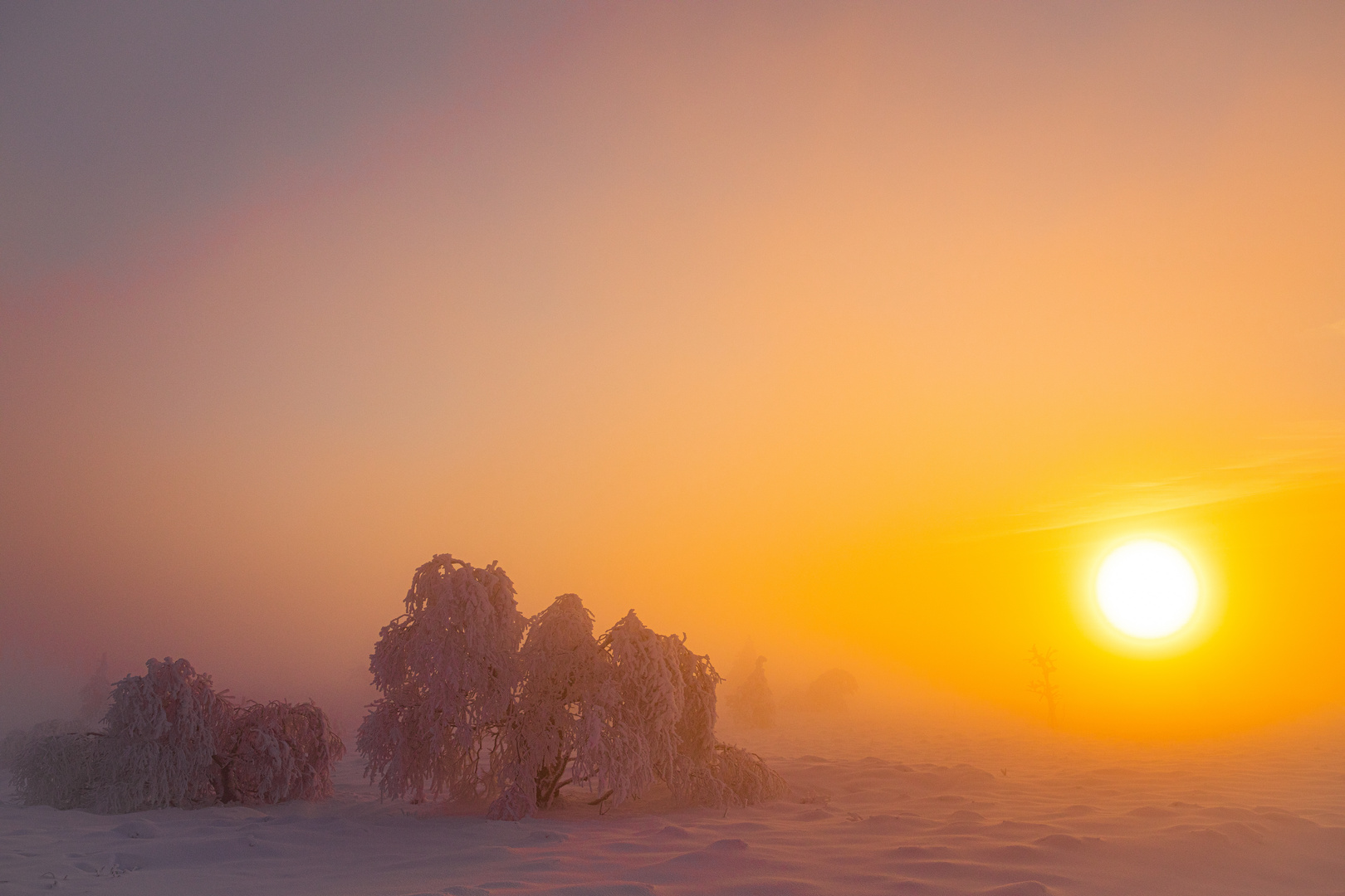 Ein wunderschöner Wintertag neigt sich zu Ende