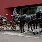 Ein wunderschönes Gespann 