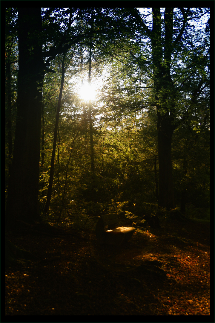 Ein wundervoller Herbsttag 2