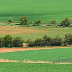 Ein "Z" in der Landschaft