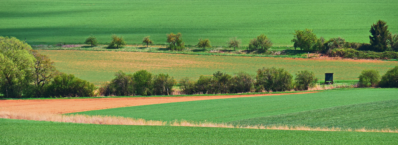 Ein "Z" in der Landschaft