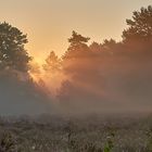 Ein zäher Kampf, Nebel gegen Sonne, danach wurde es für mich zum Lichtspot des Jahres 2021.