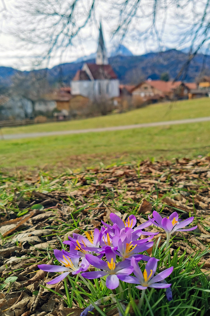 Ein zarter Frühlingsgruß!