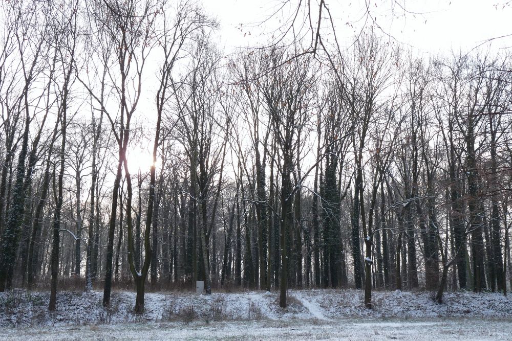 Ein zarter Lichtblick... von pueppiheike 