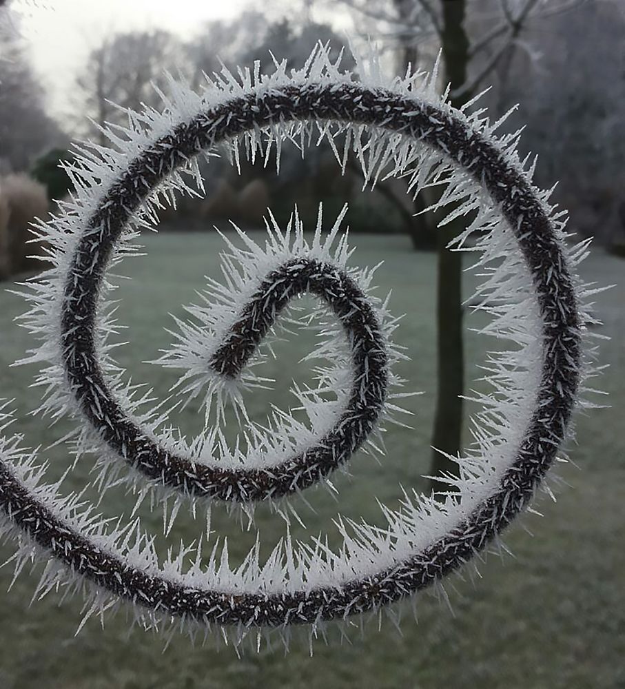 ein zartes norddeutsches winterchen ...