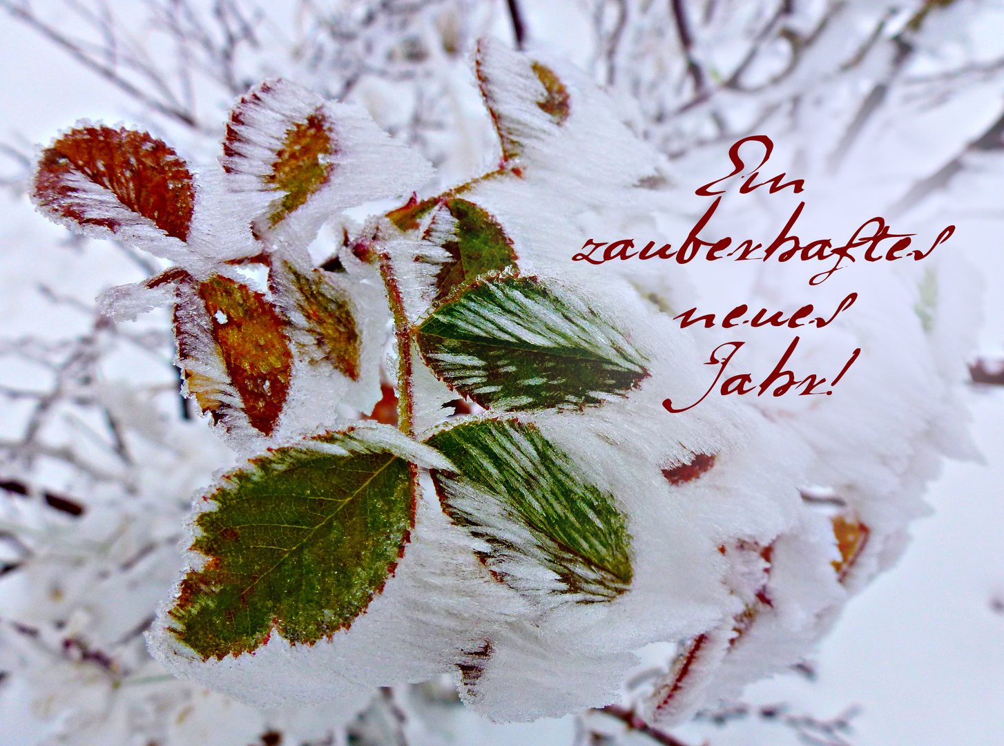 Ein zauberhaftes neues Jahr!