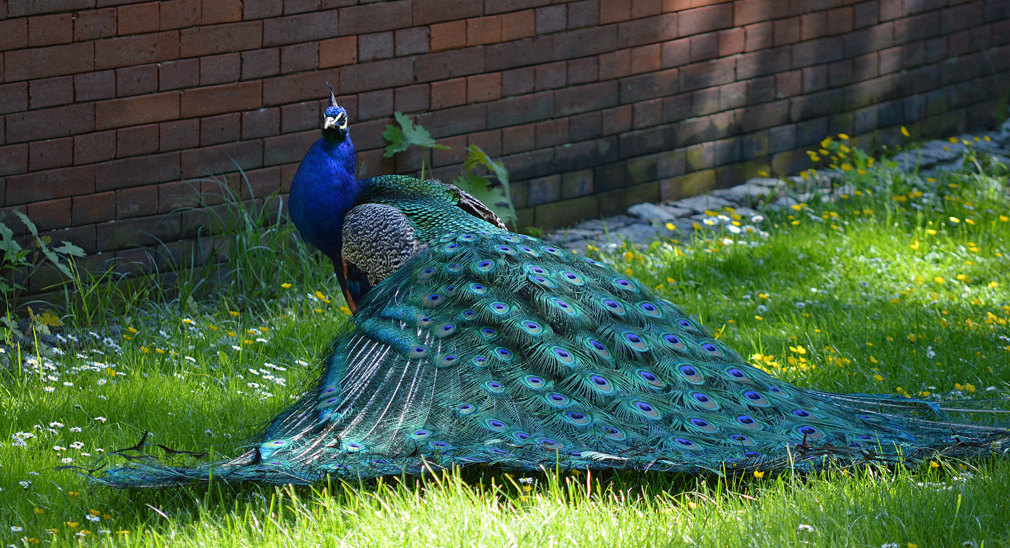 Ein Zauberkleid mit blauen Augen Teil I