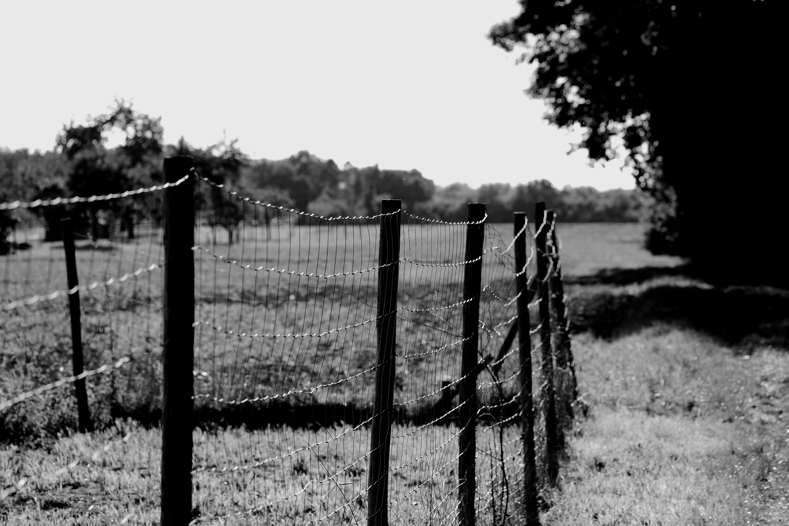 Ein Zaun...steht auf dem Feld....