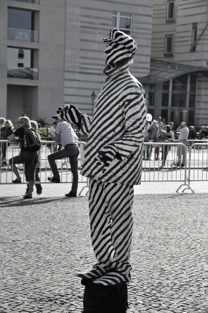 Ein Zebra in Berlin