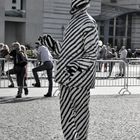 Ein Zebra in Berlin