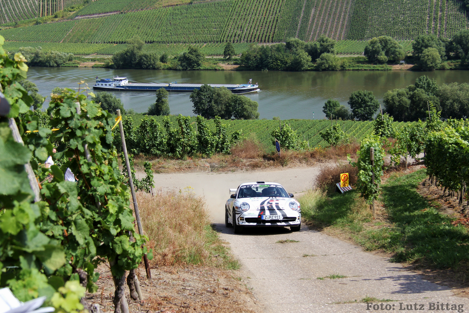 Ein Zebra in den Weinbergen an der Mosel