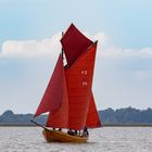 Ein Zeesboot unter vollen Segeln auf dem Bodstedter Bodden.