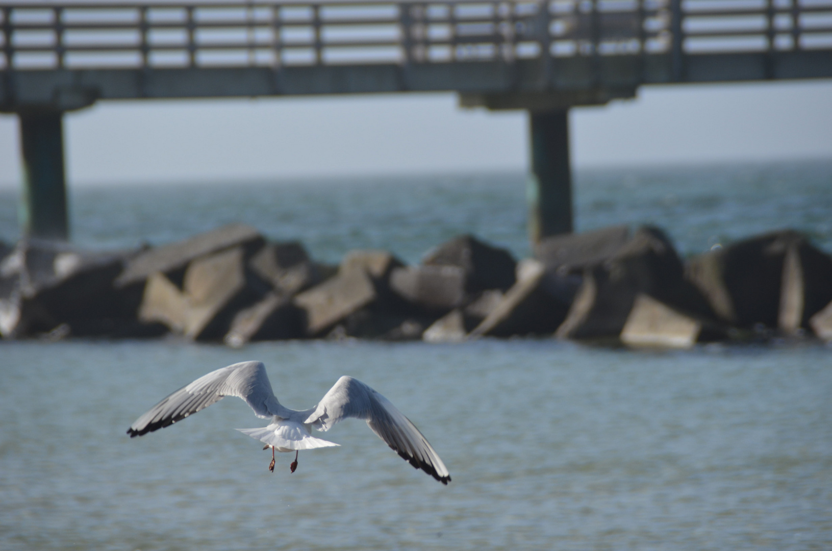 Ein Ziel im Blick