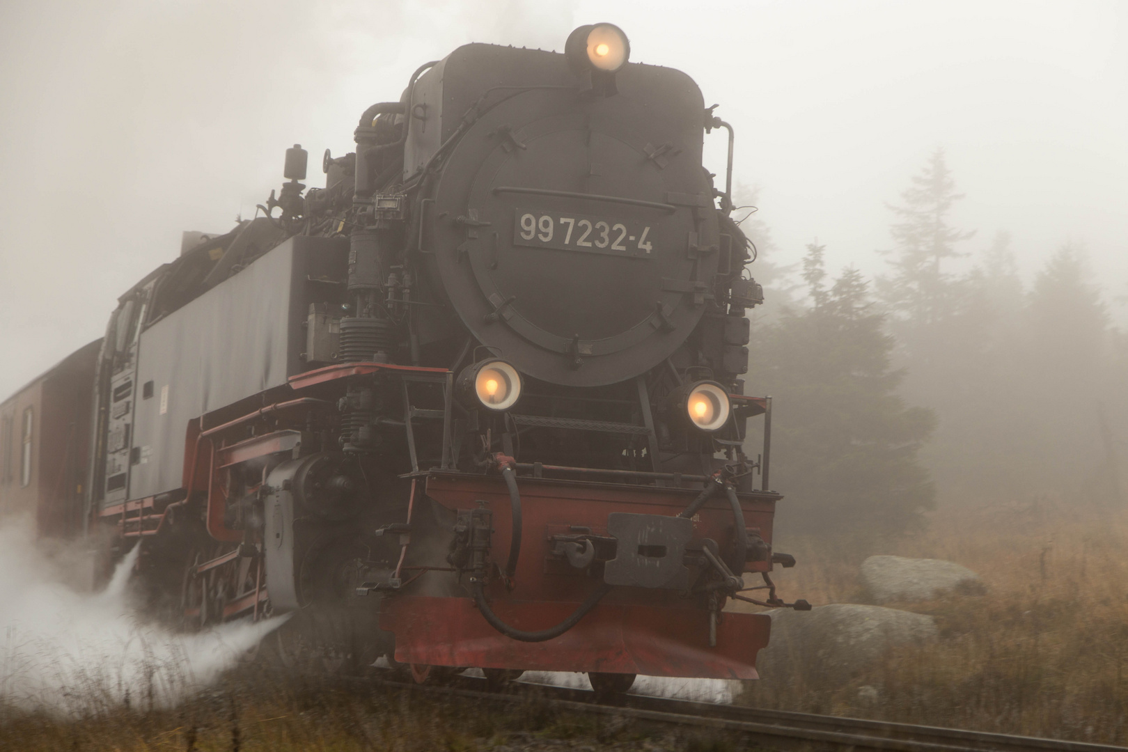 ein Zug aus dem Nebel