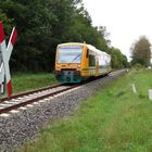 ein Zug der ODEG bei Karow/Mecklenburg