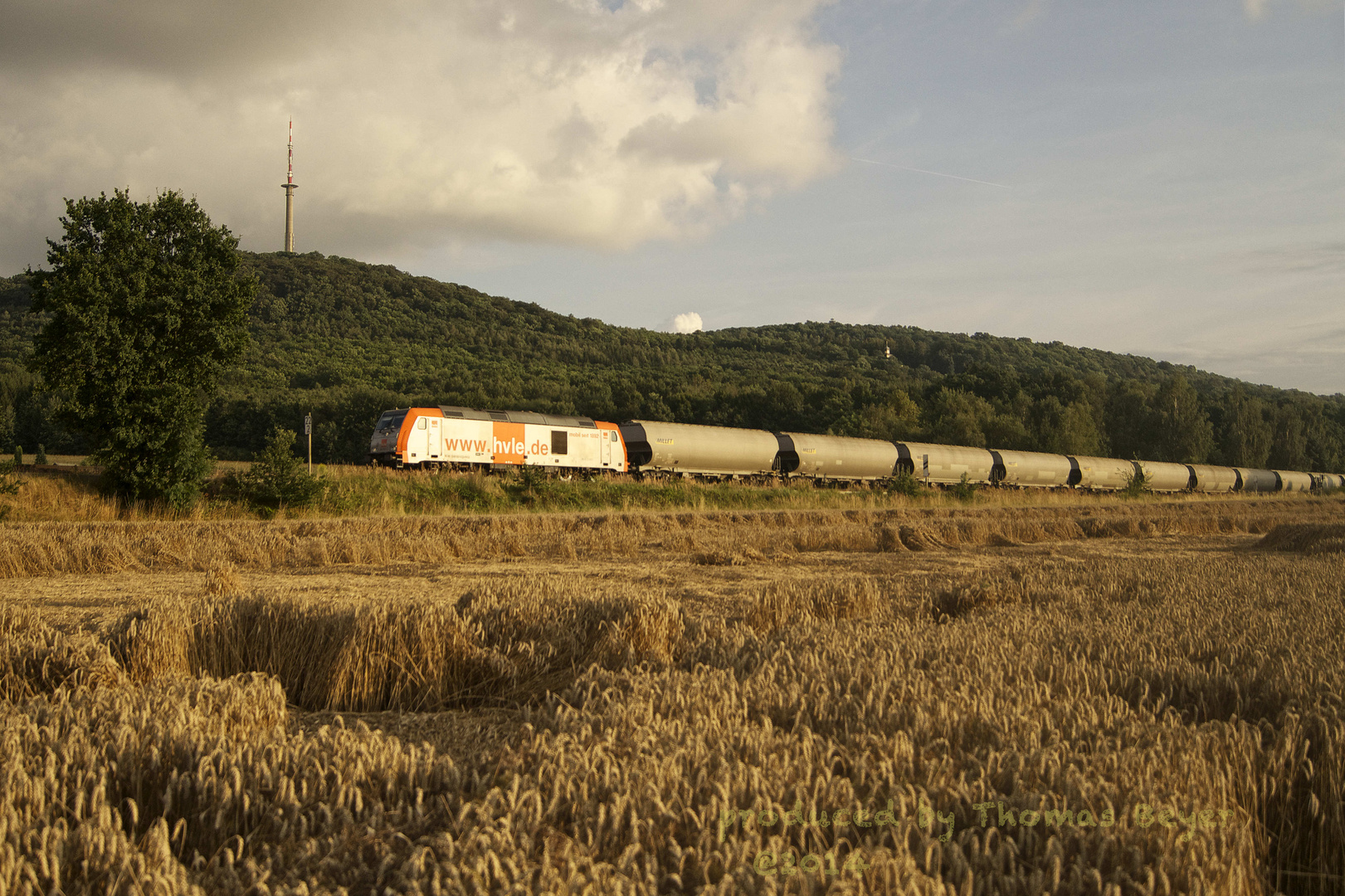 Ein Zug im Kornfeld