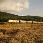 Ein Zug im Kornfeld