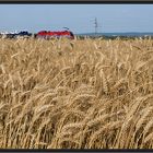 Ein Zug im Kornfeld II