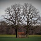 Ein zwei Baum