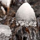 Ein Zwerglein steht im Bache... - Le chaperon blanc dans le ruisseau...