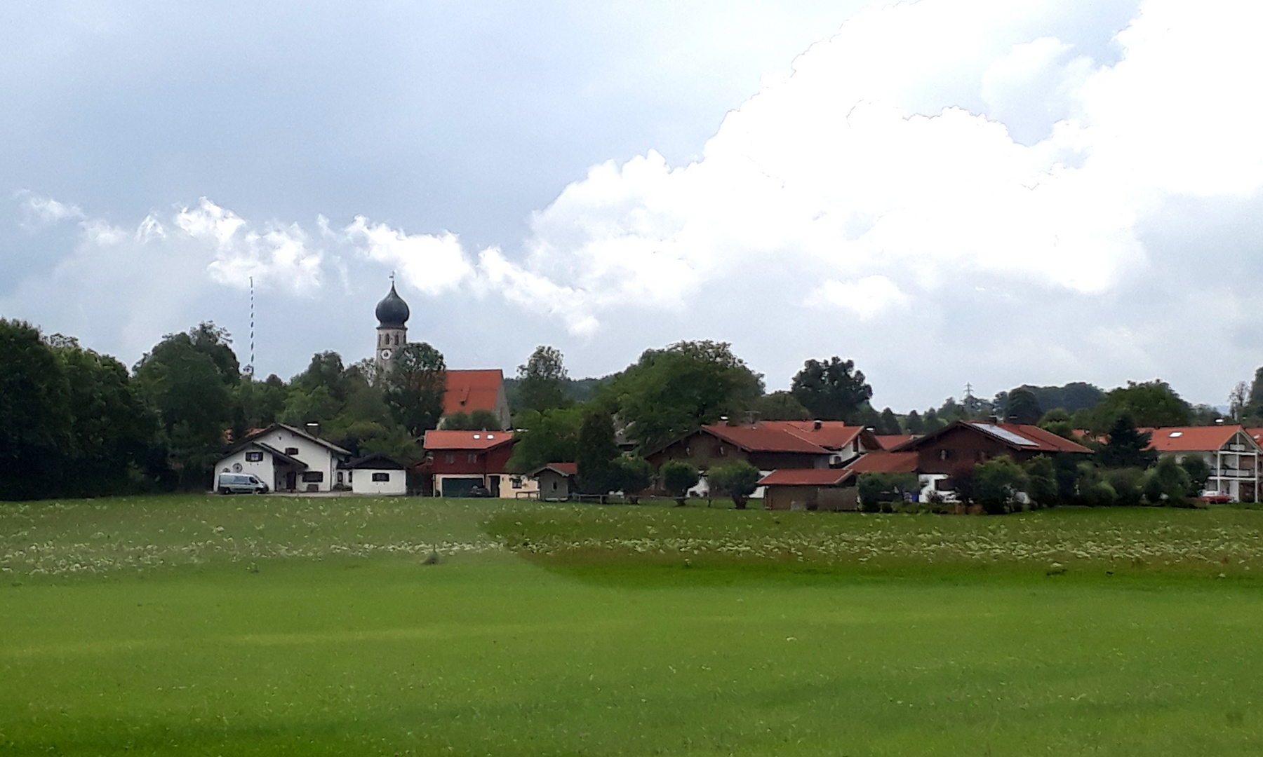 Ein Zwiebelchen