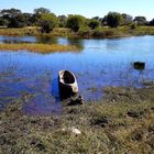 Einbaum am Okavango