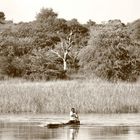 Einbaum auf dem Okavango