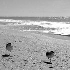 einbeiniger Strandspaziergang