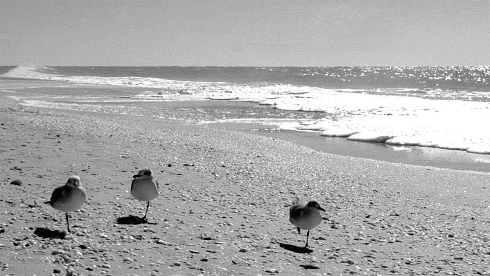 einbeiniger Strandspaziergang