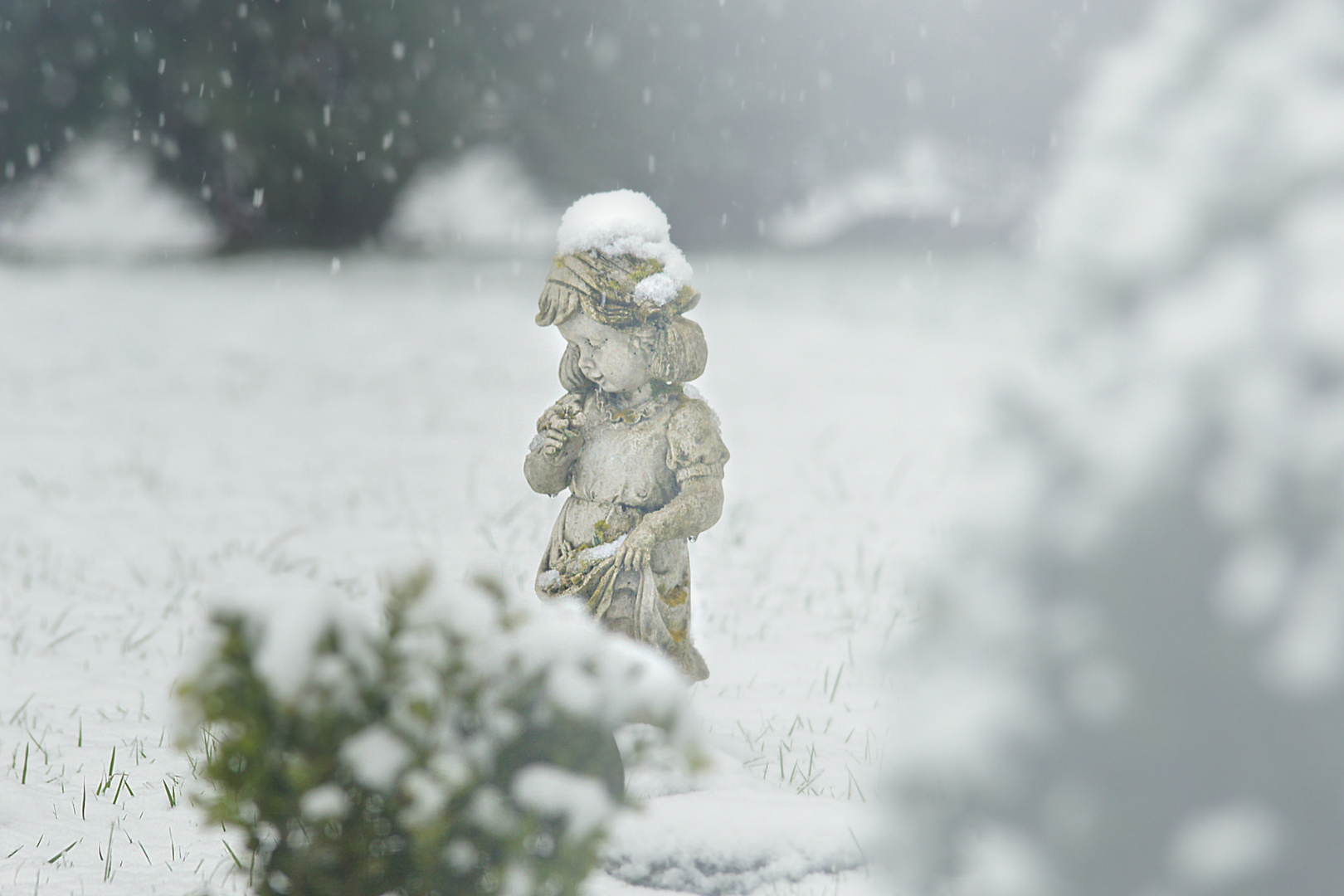 einbisschen was winterliches vom letzten Jahr