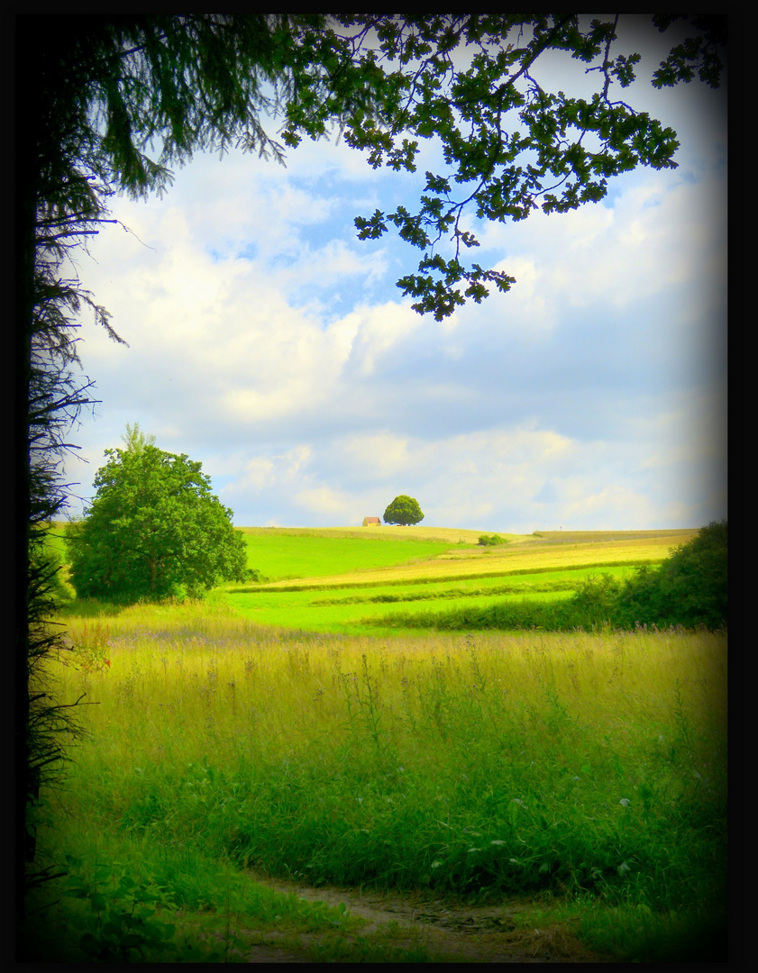 Einblick