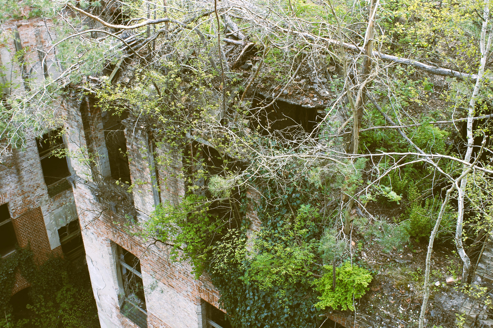 Einblick Beelitz