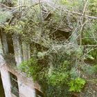 Einblick Beelitz