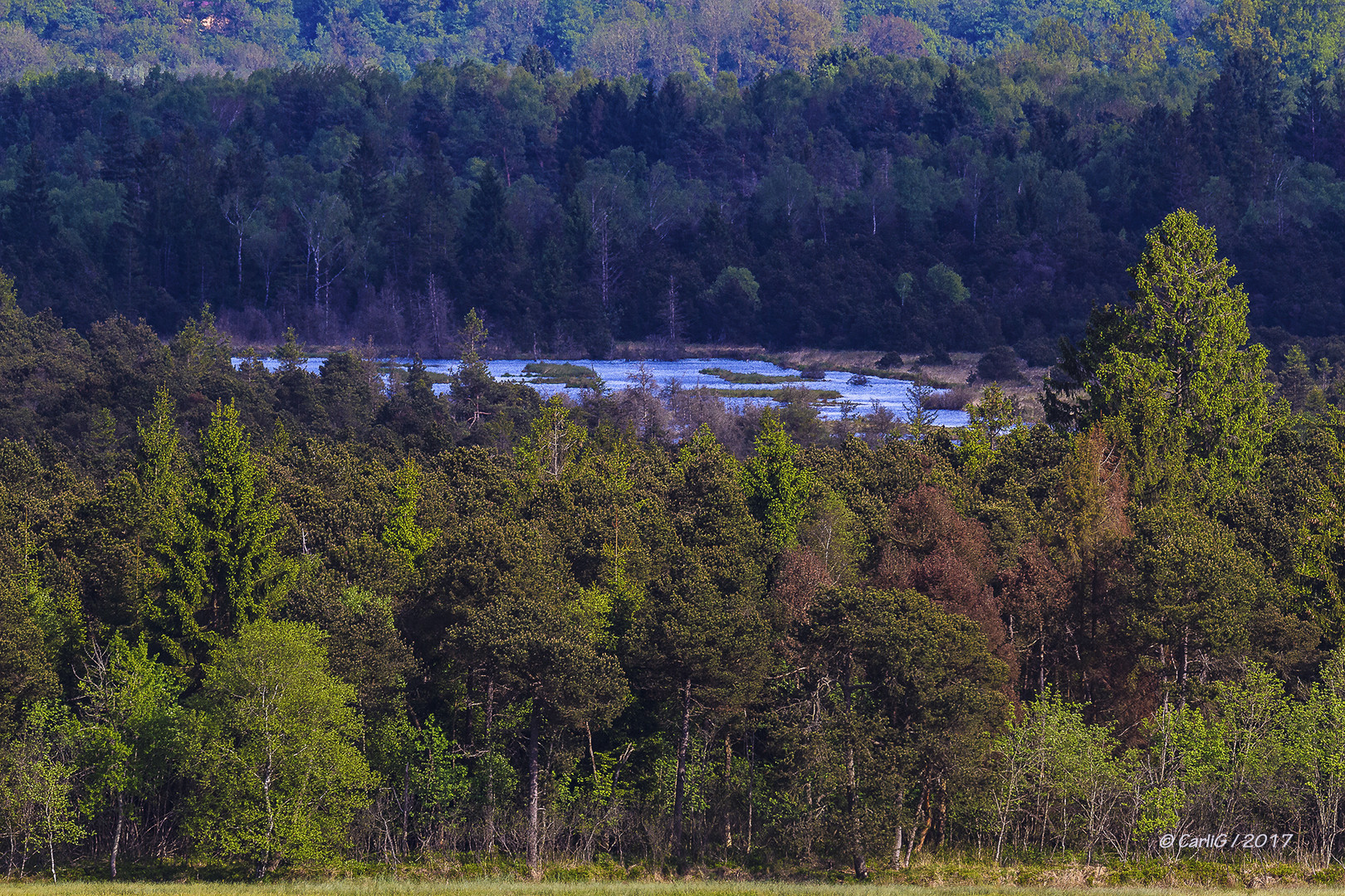 Einblick… 