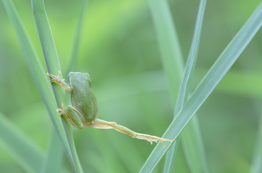 Einblick gewährt