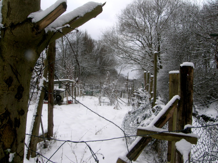 Einblick hinter dem Garten!