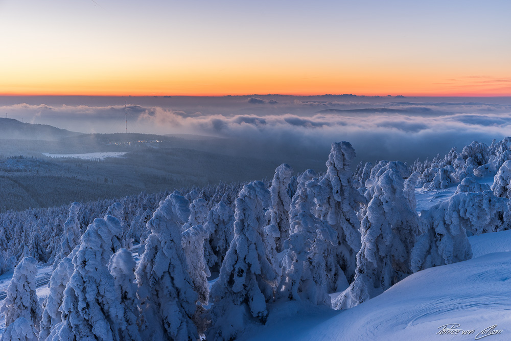 Einblick in den Harzer Winter