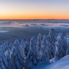 Einblick in den Harzer Winter