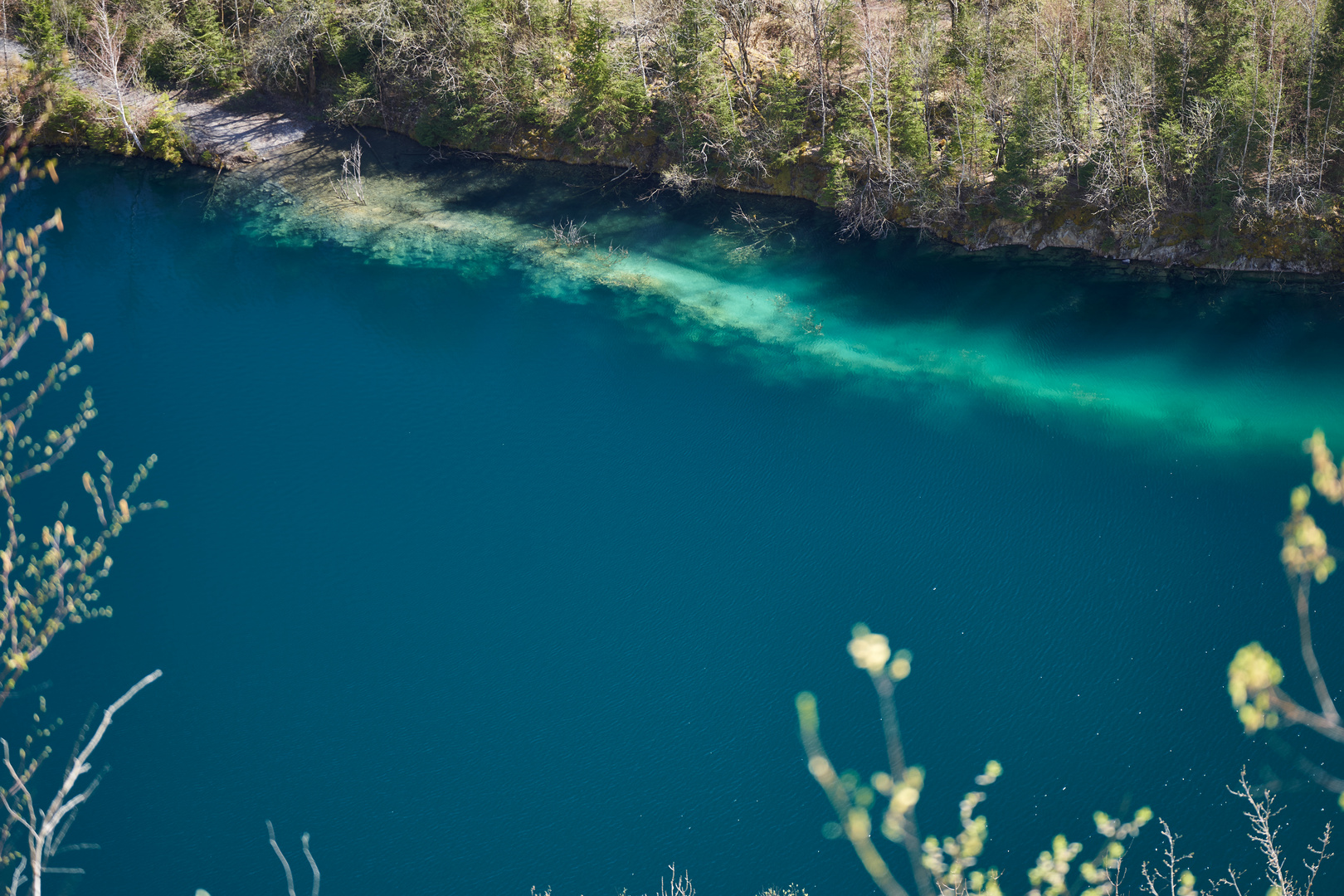 Einblick in den "Langer Köchel See"