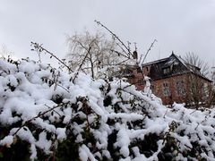 Einblick in den Winter