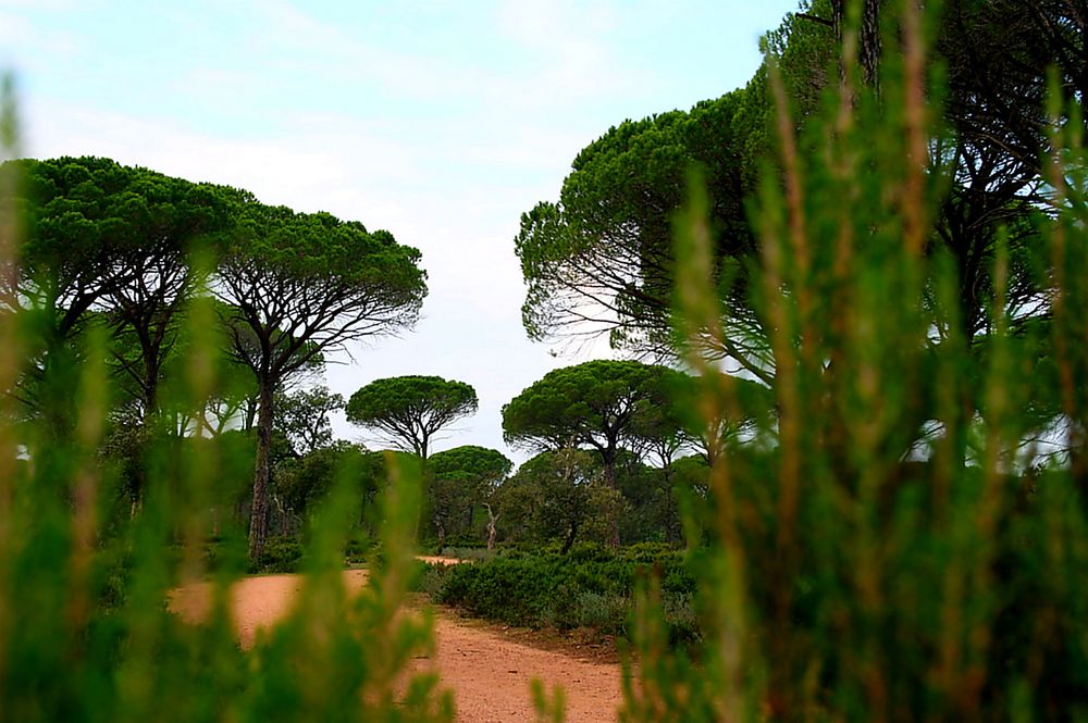 Einblick in die Provence